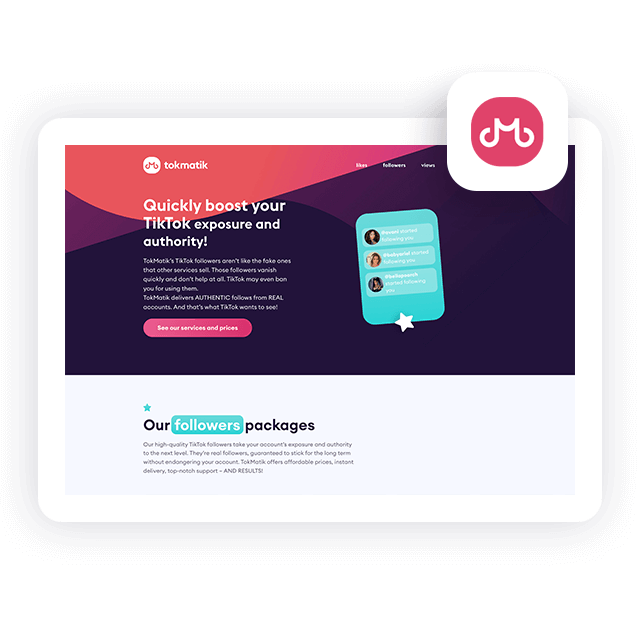 TokMatik TikTok Followers